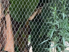 شبکه ی طناب فولاد ضد زنگ شبکه ی سیم فلزی فروول باغ وحش شبکه ی الماس شکل شبکه ای