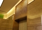 مش سیم زینتی طلایی Ss 304 برای لابی سالن آسانسور
